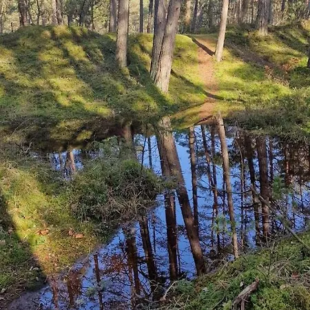 Lifa Komfortowy Dom *